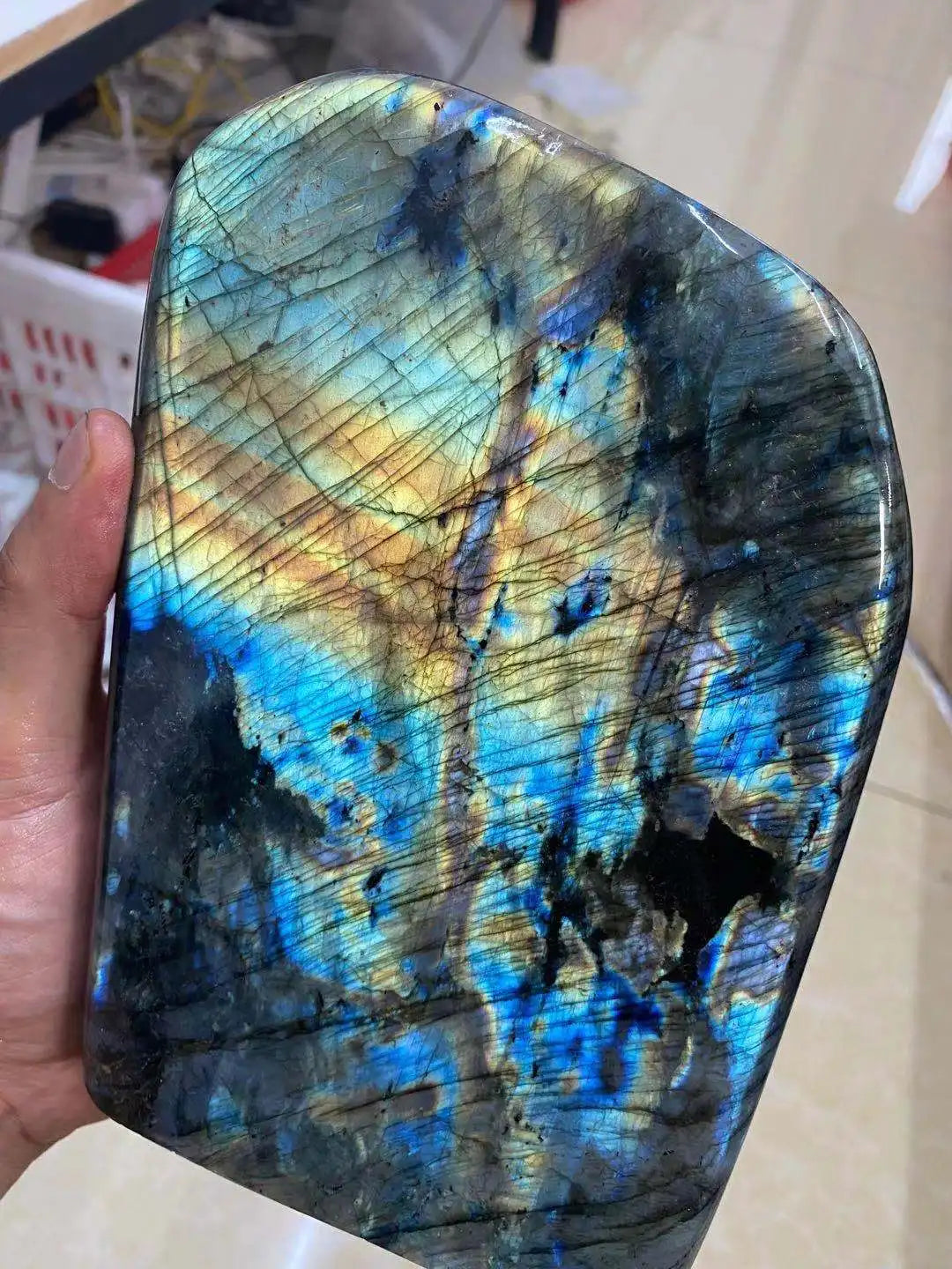 Rainbow Labrador Stone-ToShay.org