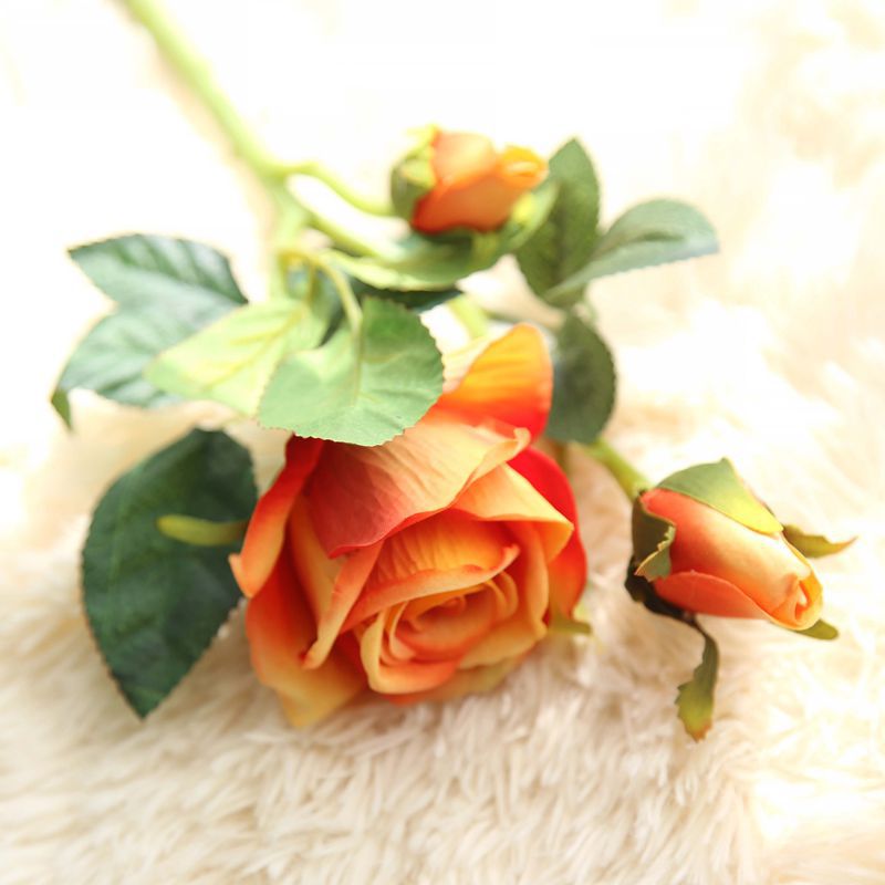 Rose Flowers-ToShay.org