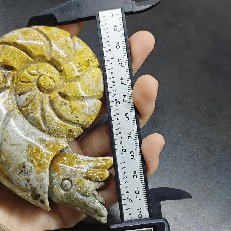 Ocean Jasper Conch-ToShay.org