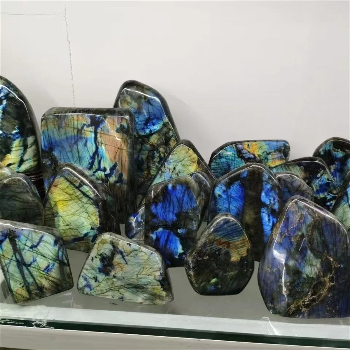 Blue Labrador Moonstone-ToShay.org