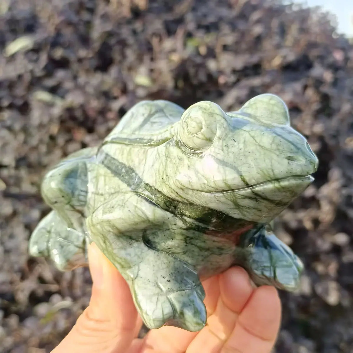 Green Jade Frog-ToShay.org