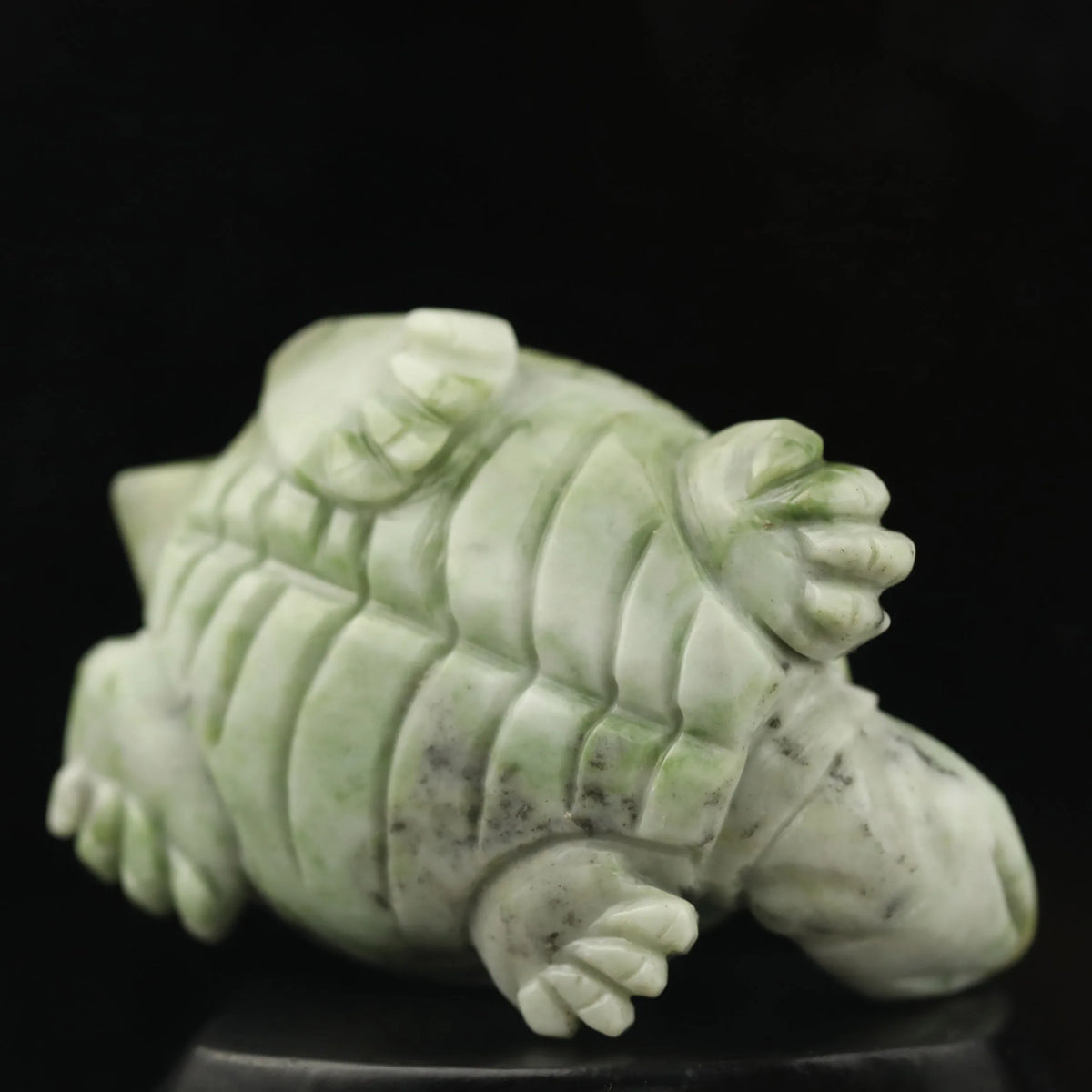 Green Jade Turtle-ToShay.org