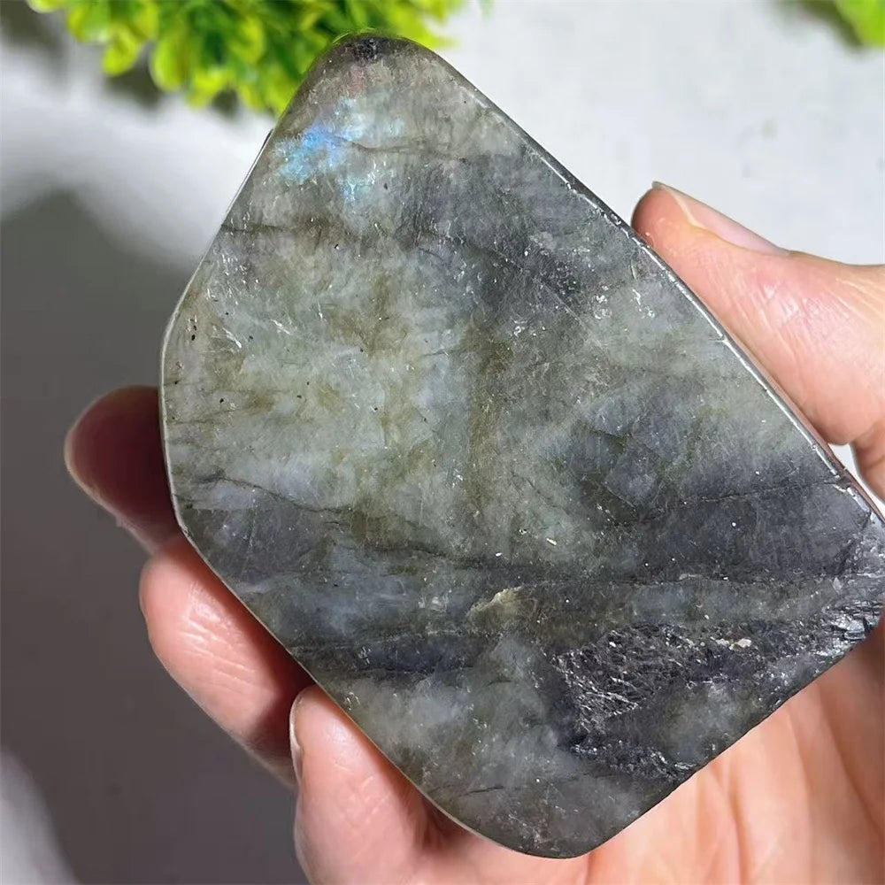 Blue Labradorite Unicorn-ToShay.org