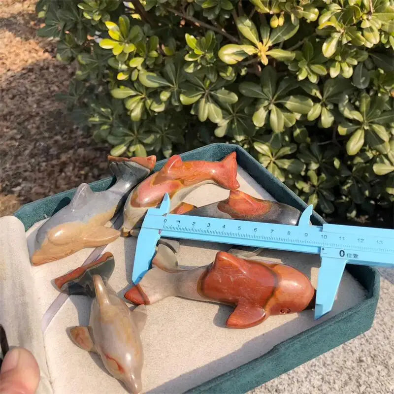 Ocean Jade Dolphin-ToShay.org