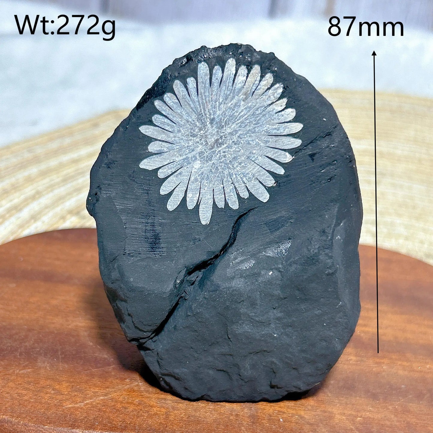 Black Chrysanthemum Raw Stone-ToShay.org