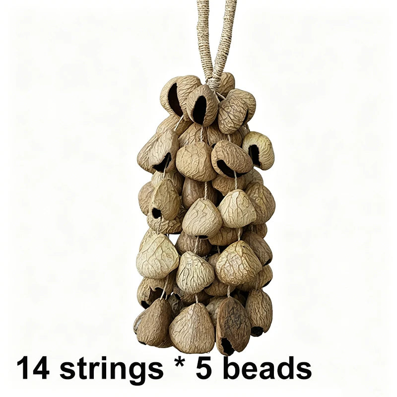 Shell Nut Bell Chimes-ToShay.org