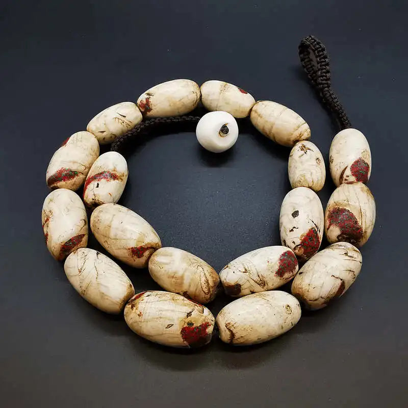 White Conch Shell Necklaces-ToShay.org
