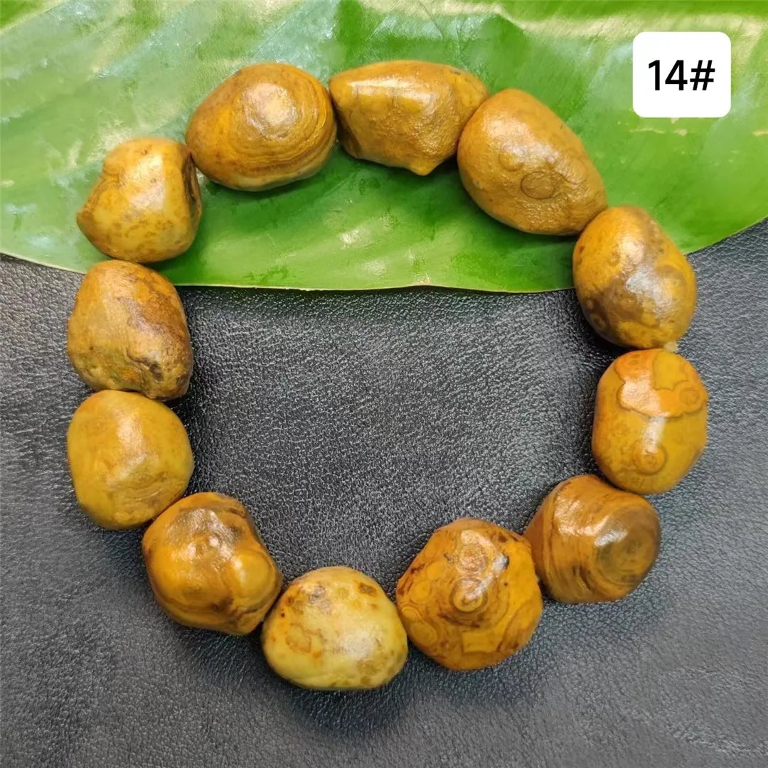 Yellow Money Stone Bracelet-ToShay.org