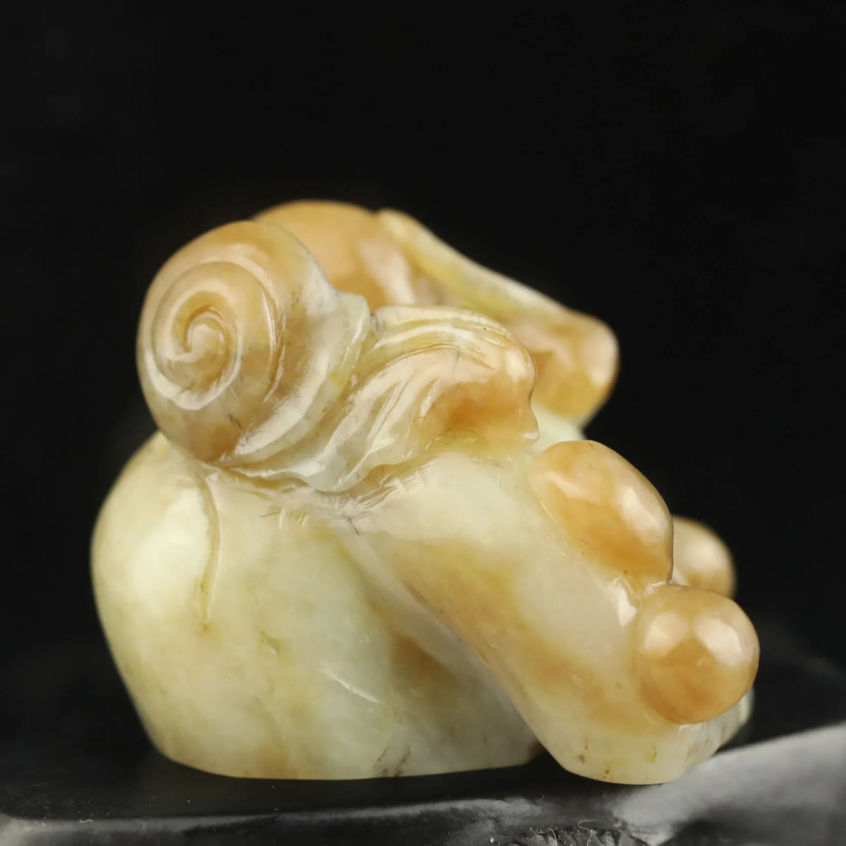 Yellow Jade Snail-ToShay.org