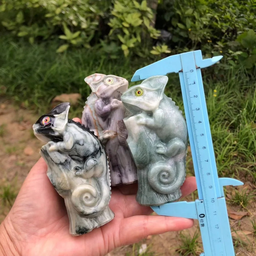 Mixed Jade Lizard-ToShay.org