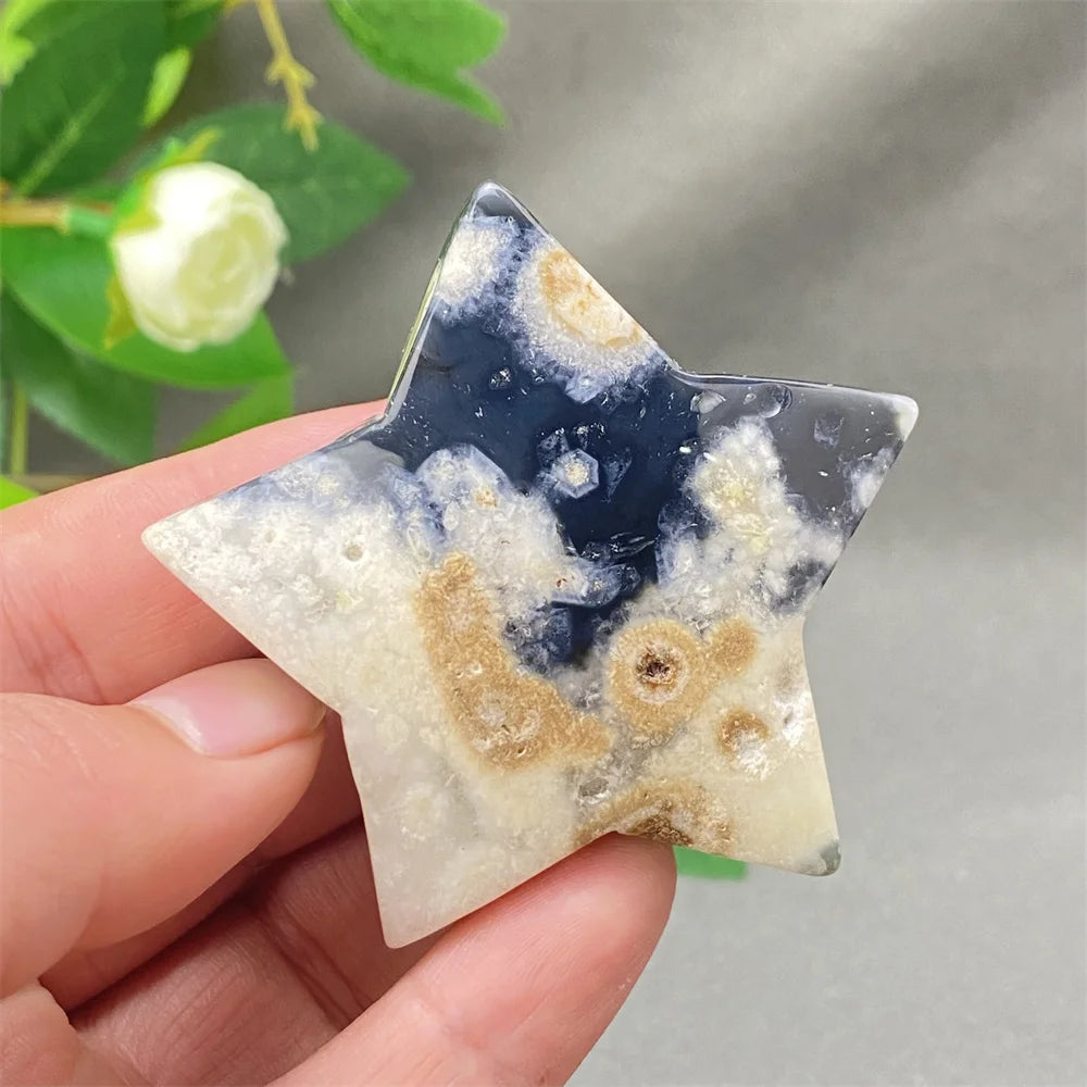 Black Cherry Blossom Agate-ToShay.org