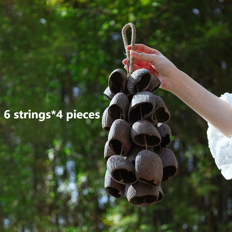 Shell Nut Bell Chimes-ToShay.org