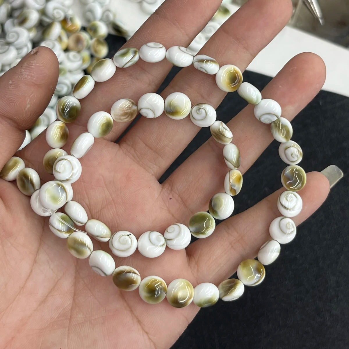 White Conch Shell Beads-ToShay.org