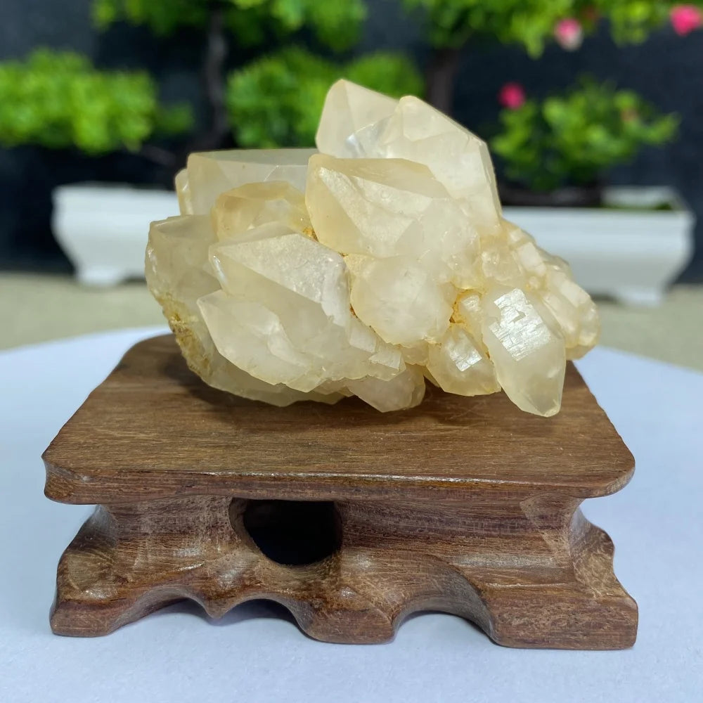 White Quartz Crystal Cluster-ToShay.org