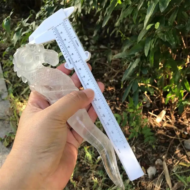 Clear Quartz Seahorse-ToShay.org