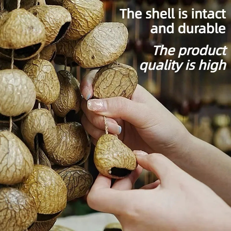 Shell Fruit Bells-ToShay.org