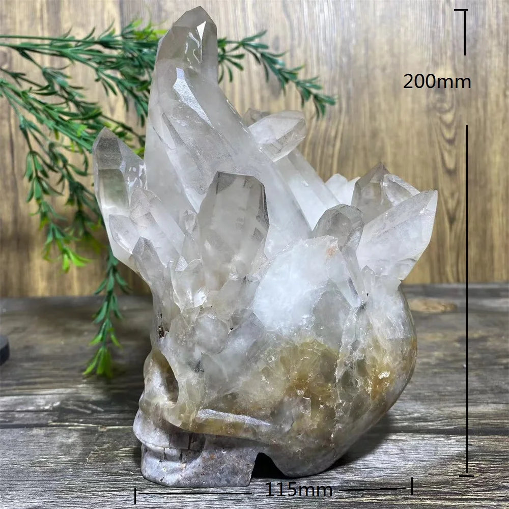 Clear Quartz Skull Cluster-ToShay.org