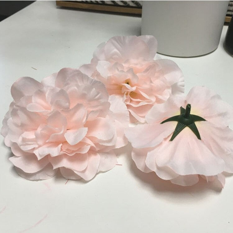 Dahlia Flower Heads-ToShay.org