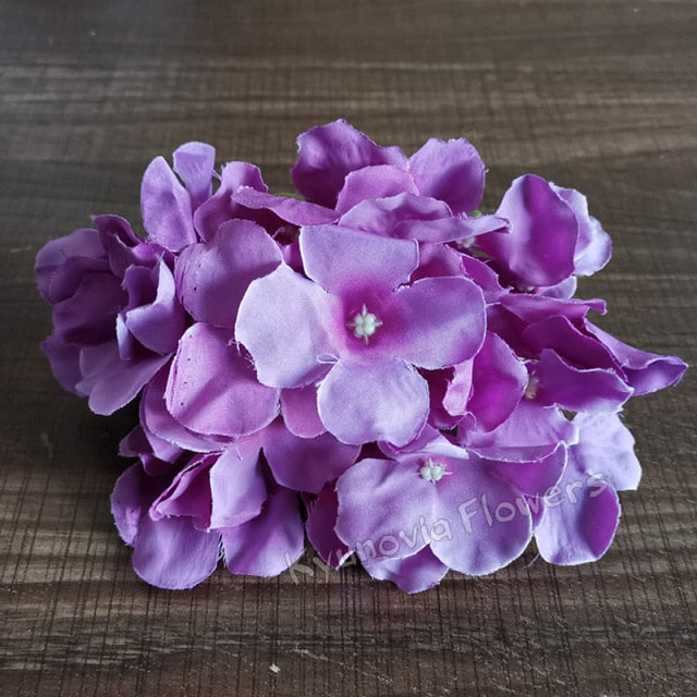 Hydrangea Flower Stems-ToShay.org