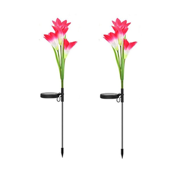 Solar Lily Flower Garden Lights-ToShay.org