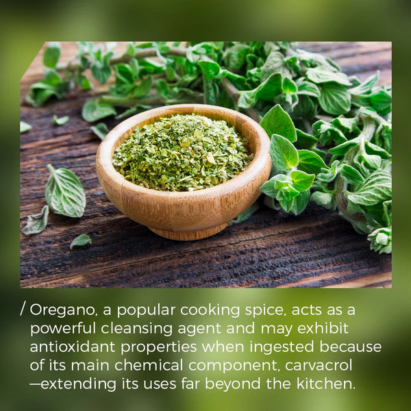 Mixed Essential Oils-ToShay.org