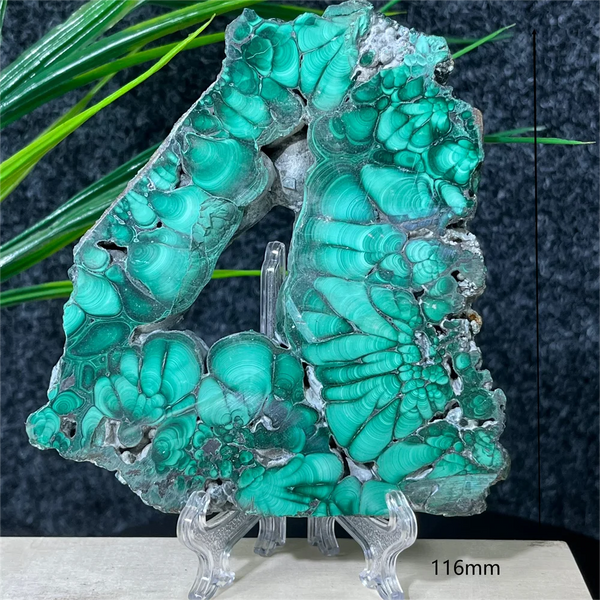Green Malachite Slab Slice-ToShay.org