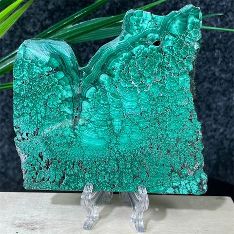 Green Malachite Slab Slice-ToShay.org