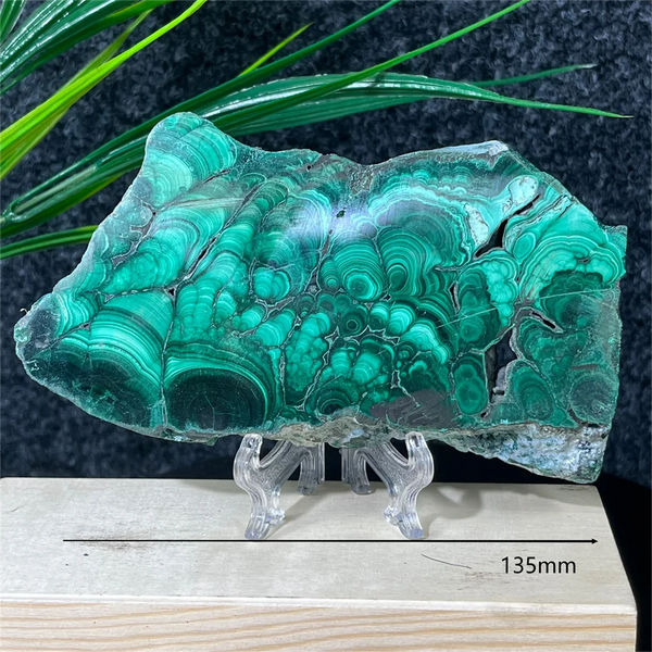 Green Malachite Slab Slice-ToShay.org