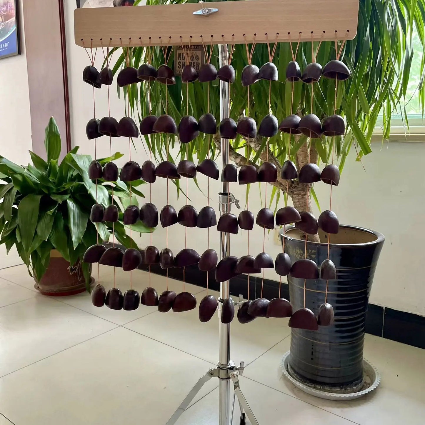 Shell Fruit Chimes-ToShay.org