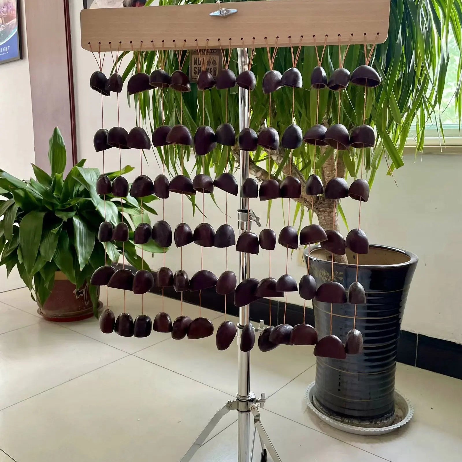 Shell Fruit Chimes-ToShay.org