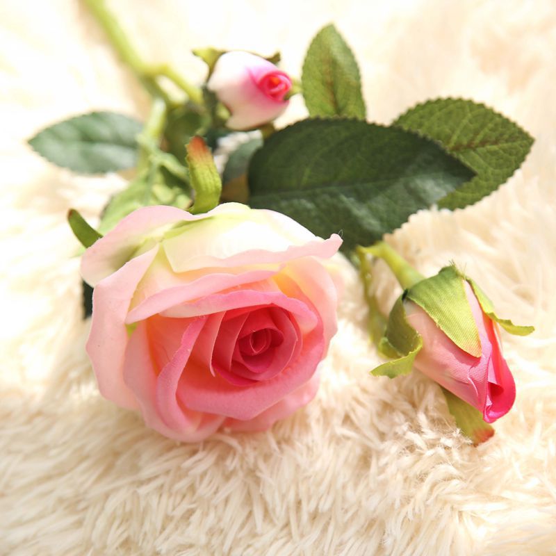 Rose Flowers-ToShay.org