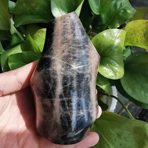 Black Moonstone Crystal Flame-ToShay.org