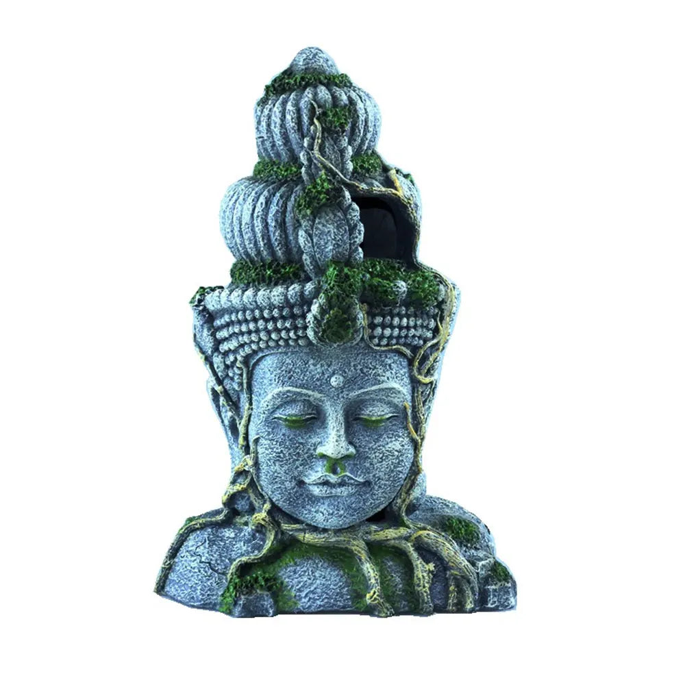 Pond Buddha Head-ToShay.org