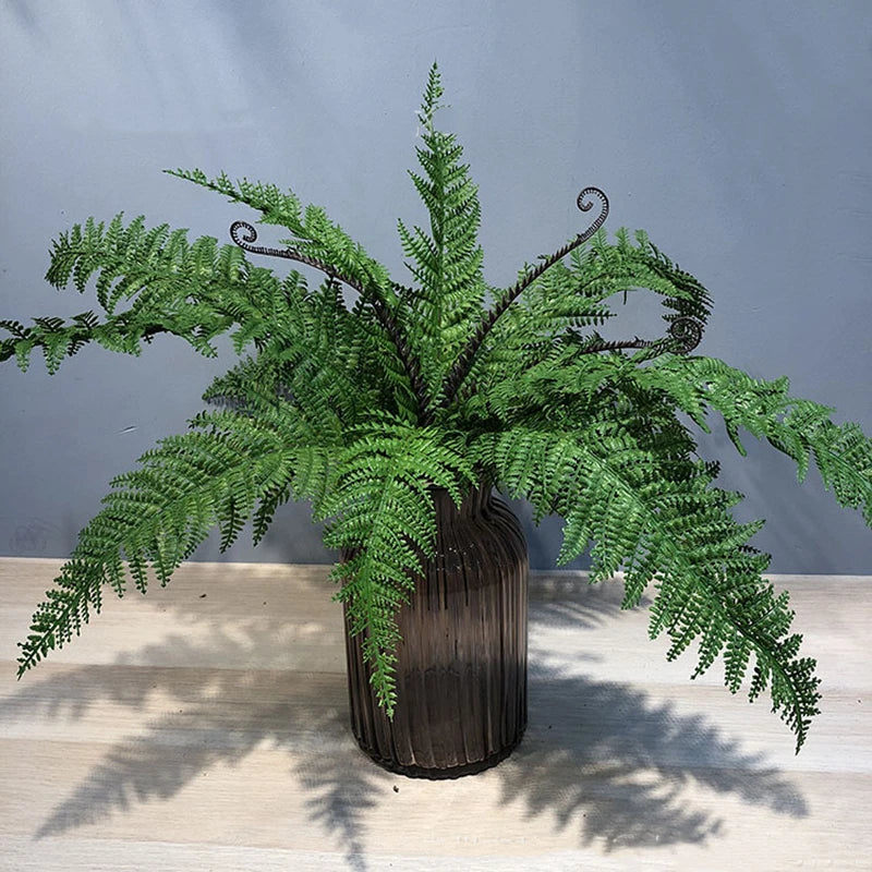 Fern Leaf Plant-ToShay.org