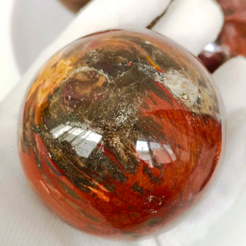 Brown Petrified Wood Ball-ToShay.org
