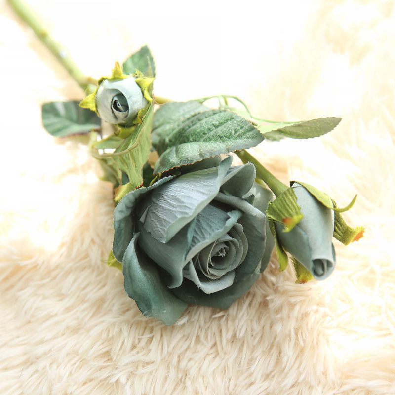 Rose Flowers-ToShay.org