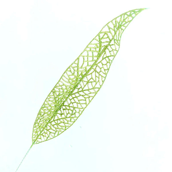 Plant Leaf-ToShay.org