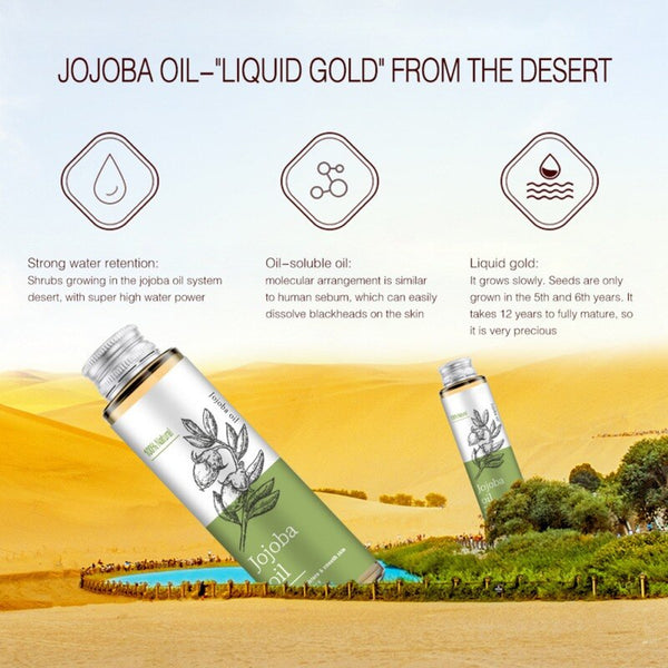 Jojoba Essential Oil-ToShay.org