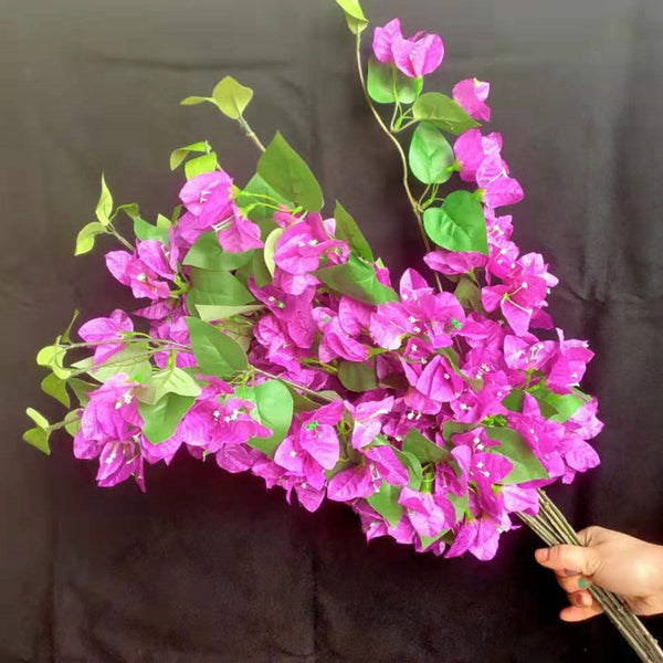 Bougainvillea Flower Branches-ToShay.org