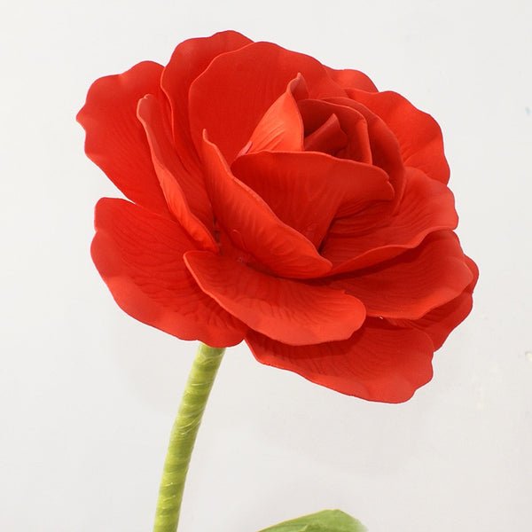 Rose Flowers-ToShay.org