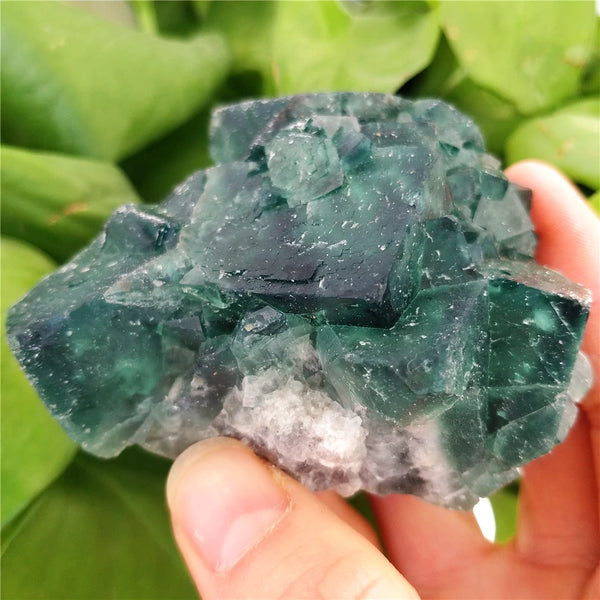 Green Fluorite Crystal-ToShay.org