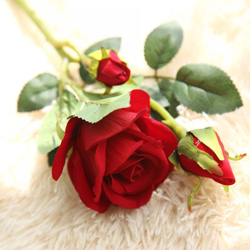 Rose Flowers-ToShay.org
