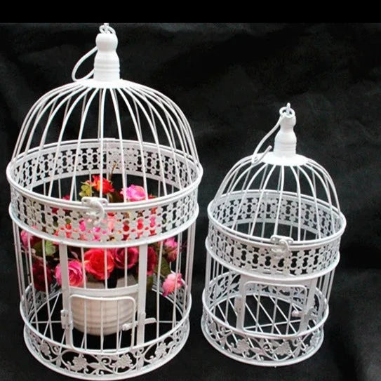 Iron Bird Cage-ToShay.org