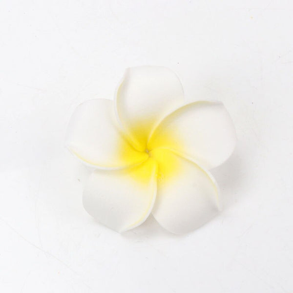 Frangipani Flowers-ToShay.org