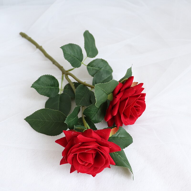 Rose Flowers-ToShay.org