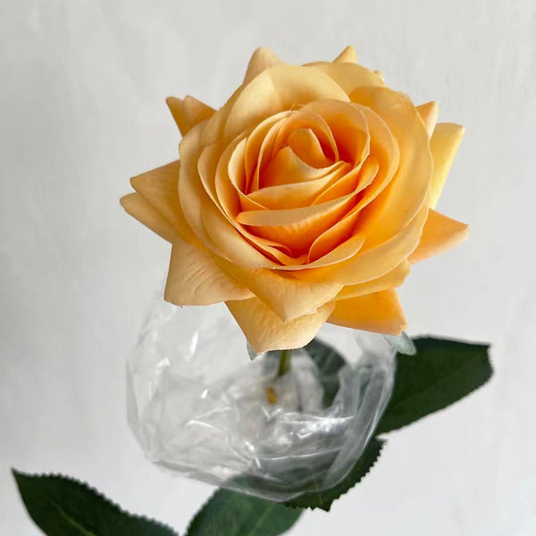 Rose Flower Bouquet-ToShay.org