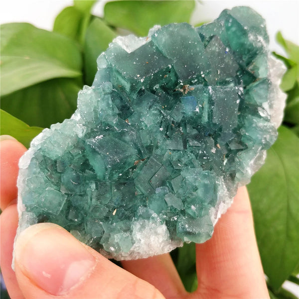 Green Fluorite Crystal-ToShay.org
