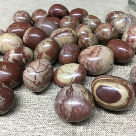 Brown Petrified Wood Stones-ToShay.org