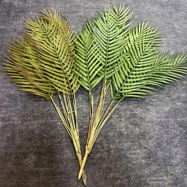 Green Palm Leaves-ToShay.org