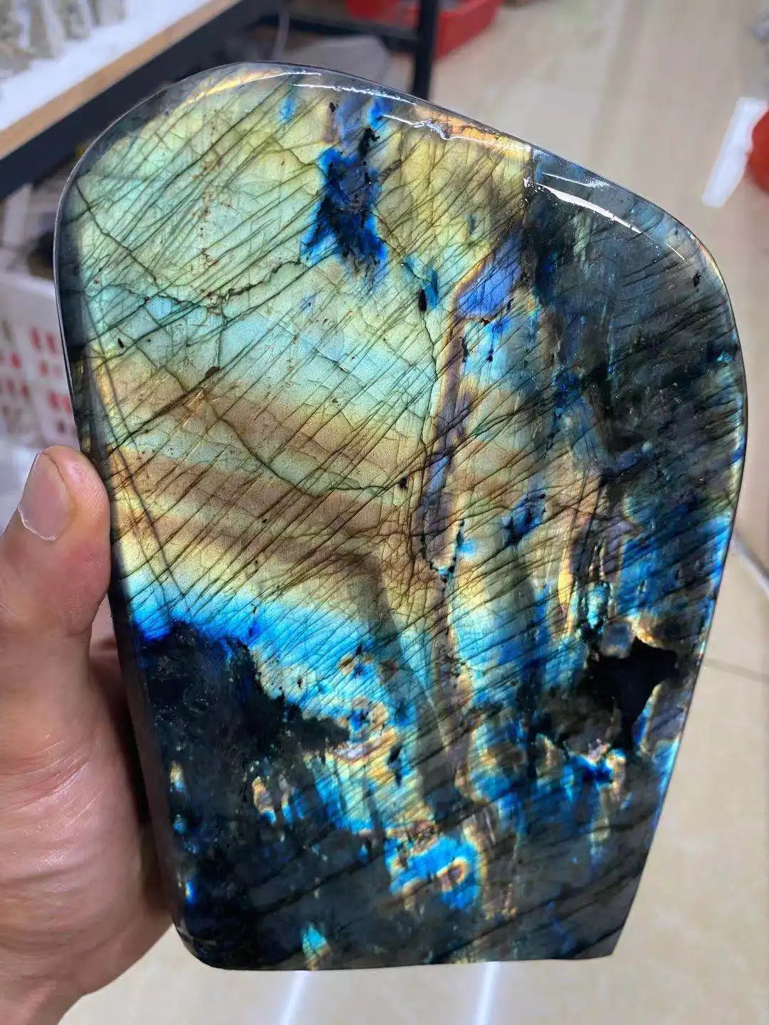 Rainbow Labrador Stone-ToShay.org